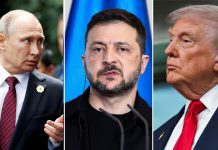 “Trump dëshiron ‘të angazhohen’ në diplomaci të drejtpërdrejtë”/ Shtëpia e Bardhë: Po shqyrtohet një takim Putin-Zelensky