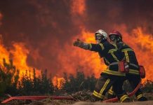 Zjarret në BE thyejnë rekordin, mbi 1 milion hektarë të djegur në 2025