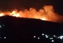 Zjarri përfshin kodrën në Drashovicë, era favorizon përhapjen e flakëve