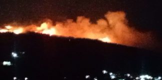 Zjarri përfshin kodrën në Drashovicë, era favorizon përhapjen e flakëve