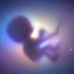 Nga marrëdhëniet seksuale te fekondimi, a mund të lindë një fëmijë në hapësirë? Ja çfarë thotë shkenca