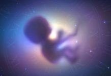 Nga marrëdhëniet seksuale te fekondimi, a mund të lindë një fëmijë në hapësirë? Ja çfarë thotë shkenca