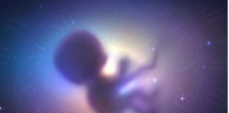 Nga marrëdhëniet seksuale te fekondimi, a mund të lindë një fëmijë në hapësirë? Ja çfarë thotë shkenca