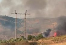 Zjarr në Zharrëz, rrezikohet një pus nafte! Ndërhyjnë zjarrfikëset