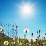 Parashikimi i motit, 28 gusht 2025