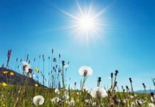 Parashikimi i motit, 28 gusht 2025