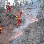 Situata e zjarreve në vend/ Gjatë 24 orëve të fundit janë raportuar 14 vatra zjarri