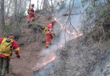 Situata e zjarreve në vend/ Gjatë 24 orëve të fundit janë raportuar 14 vatra zjarri