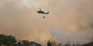 Zjarret në Gramsh, përfshihet nga flakët fshati Harunas! Rregjistrohen 6 të plagosur