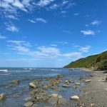 Parashikimi i motit për sot, 21 gusht 2025