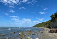 Parashikimi i motit për sot, 21 gusht 2025