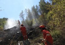Shpërblim për zjarrfikësit që luftuan me zjarret! Vendimi i qeverisës: 1 deri në 3 paga mujore për efektivët eForcave të Armatosura, Policisë së Shtetit, Mbrojtjes Civile dhe shërbimeve zjarrfikëse