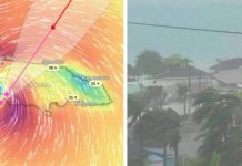 “Uragani i shekullit” përfshin…Pamje tronditëse nga Gjiri i Atlantikut, raportohen viktima (VIDEO)