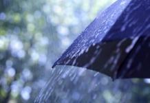 Parashikimi i motit për sot, 27 tetor 2025