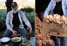‘Një nga ne’/ Nga toka në TikTok, fermeri nga Postriba gjen strategjinë: Shes online qepën 300-vjeçare dhe vajin e ullirit