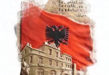 Adrian Thano: Gjuha u bë shteti i parë i shqiptarëve, para se ai të vinte në 1912