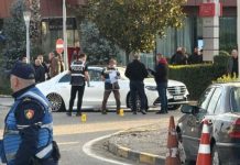 “Si togë pushkatimi, 3 vetë me kallashnikovë”, gazetari tregon dinamikën e vrasjes në Rinas: Grupi i Gilmando Danit ka pasur hesape të hapura me…