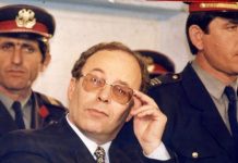 Rasti Nano – Figura që rriten në mungesë