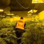 Zbulohen 3 shtëpi bari në Malësi të Madhe, dy të arrestuar dhe një 33-vjeçar në kërkim