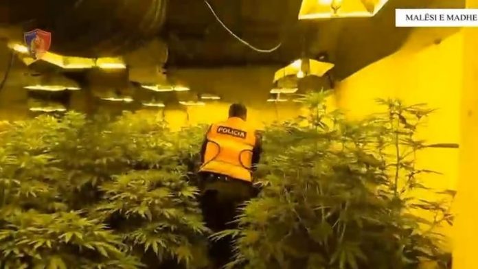 -800-0-1762088226xpol-743