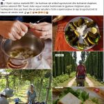 BBC artikull për kulinarinë shqiptare, Rama: Recetat tradicionale të gjysheve, pikë e fortë e sipërmarrjeve të reja të agroturizmit