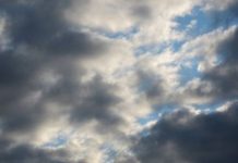 Parashikimi i motit për sot, 14 nëntor 2025