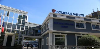 Gjykata e Tiranës e ka dënuar me 5 vite burg për mashtrim/ Ekstradohet nga Gjermania shtetasja rumune