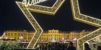 Vjena vezullon për festa/ Hapet tregu i parë i Krishtlindjeve në Evropë për 2025