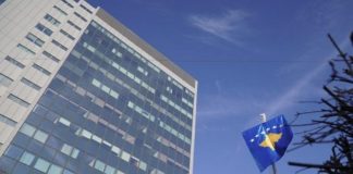 Skandali i ministres së Kurtit/ Rezervat shtetërore, 3 milionë euro dëme në buxhetin e shtetit