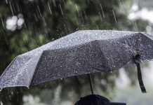 Reshje shiu dhe shtrëngata/ Parashikimi i motit, 18 nëntor