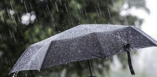 Reshje shiu dhe shtrëngata/ Parashikimi i motit, 18 nëntor