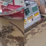 Lezha përfshihet nga reshjet e dendura, përmbyten disa lagje, emergjencat në terren