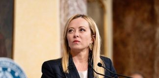 Meloni vlerëson shqiptarin/ Kryeministrja italiane shkruan për Elton Zefin