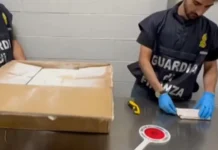 “Hap gojën sa do”/ Përgjimet e SPAK për blerjen e kokainës, si bëhej reklama e produktit në biseda: S’kemi shumë kile se po shpërndahen, o boso…