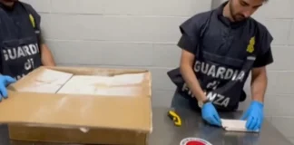 “Hap gojën sa do”/ Përgjimet e SPAK për blerjen e kokainës, si bëhej reklama e produktit në biseda: S’kemi shumë kile se po shpërndahen, o boso…