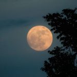 Hëna e plotë e 5 Nëntorit sjell ndryshime të mëdha për këto tre shenja të horoskopit, mundësi të reja në dashuri dhe karrierë