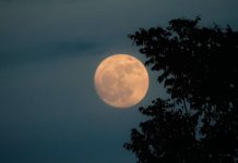 Hëna e plotë e 5 Nëntorit sjell ndryshime të mëdha për këto tre shenja të horoskopit, mundësi të reja në dashuri dhe karrierë