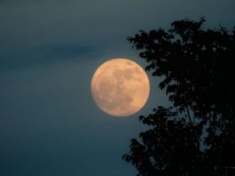 Hëna e plotë e 5 Nëntorit sjell ndryshime të mëdha për këto tre shenja të horoskopit, mundësi të reja në dashuri dhe karrierë