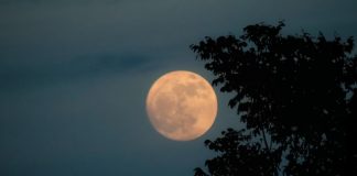 Hëna e plotë e 5 Nëntorit sjell ndryshime të mëdha për këto tre shenja të horoskopit, mundësi të reja në dashuri dhe karrierë