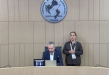 Pse ka pjesëmarrje të ulët të të rinjve?, Celibashi komenton fenomenin