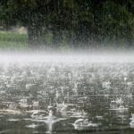 Parashikimi i motit për sot, 11 nëntor 2025