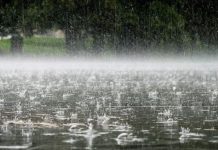 Parashikimi i motit për sot, 11 nëntor 2025