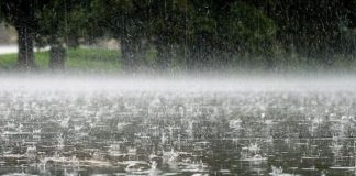 Parashikimi i motit për sot, 11 nëntor 2025