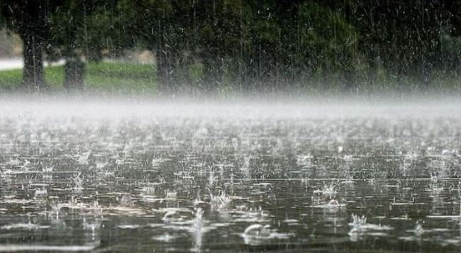 Parashikimi i motit për sot  11 nëntor 2025