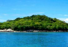 “Business News This Week”: Zbuloni Shqipërinë, destinacionin kryesor turistik të Evropës