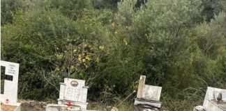 Dëmi i madh i harresës, FOTO-ja që na turpëron! Edhe një thirrje publike