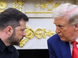 Sinjalet e Trump për Zelenskyn dhe Evropën: Pranoni planin ose do të jeni vetëm