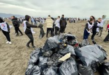 Nxënës dhe studentë pastrojnë bregdetin e Velipojës, kryeministri Rama ndan pamjet: Shembull frymëzimi