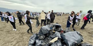 Nxënës dhe studentë pastrojnë bregdetin e Velipojës, kryeministri Rama ndan pamjet: Shembull frymëzimi