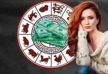 Tri shenjat e horoskopit kinez që do tërheqin sukses financiar gjatë gjithë dhjetorit